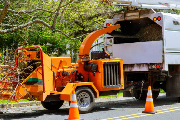 Mulching Services in Mill Valley, CA